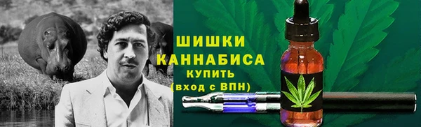 бошки Каменка