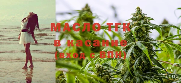 бошки Каменка