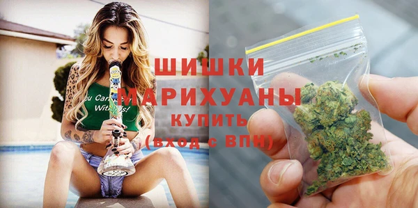 бошки Каменка