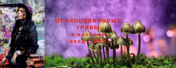 бошки Каменка